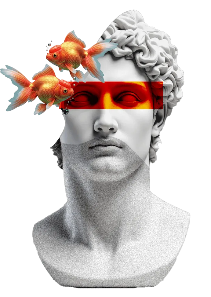 diseño web en Córdoba