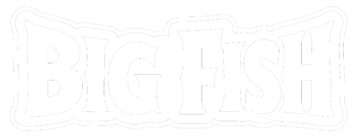 Logo Agencia diseño web | Big Fish Web