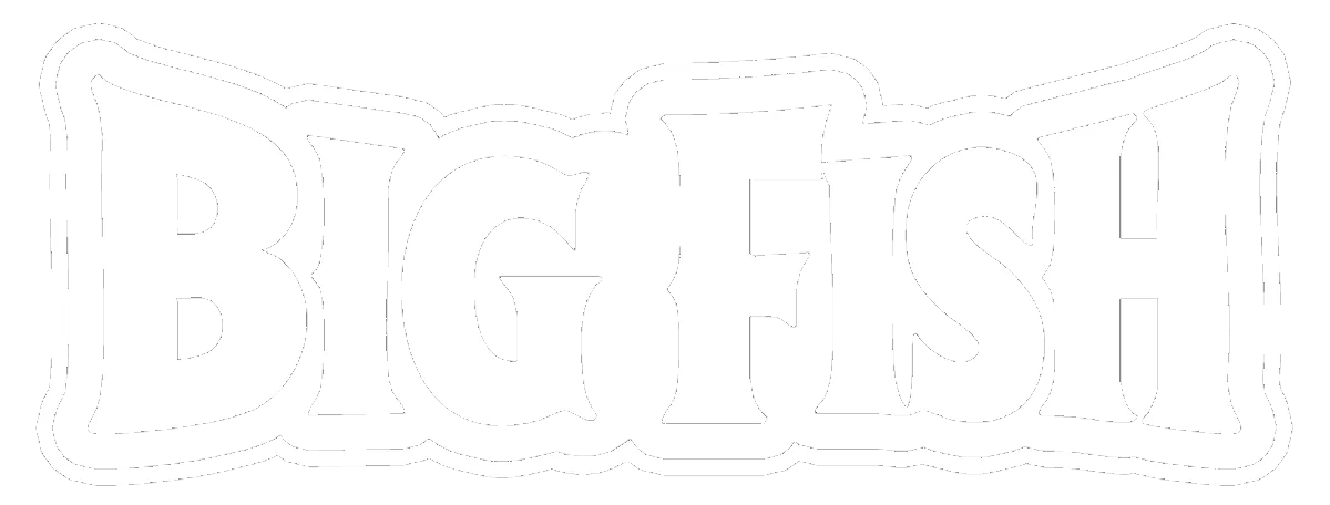 Logo Agencia diseño web | Big Fish Web